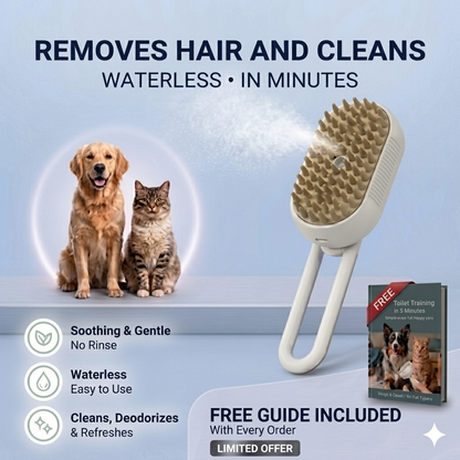 3-in-1 Steam Brush – Grooming Comb with Spray & Massage
